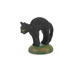 A Clowder Of Black Cats