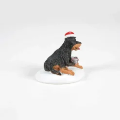 A Perfect Gift For Snots