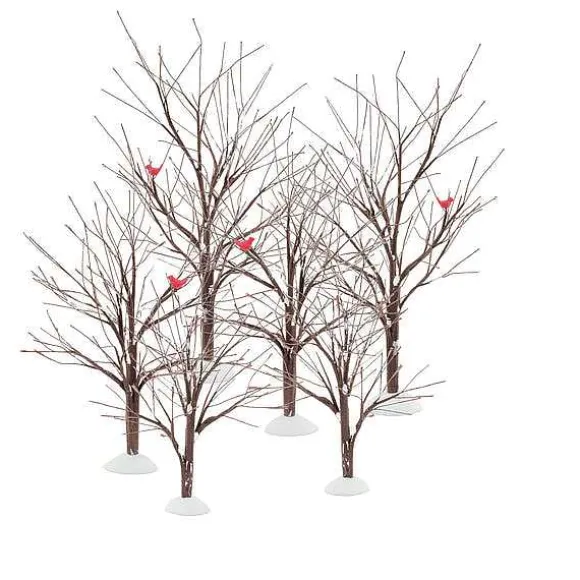 Bare Branch Tree