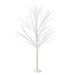 Birch Tree