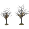 Midnight Moss Trees