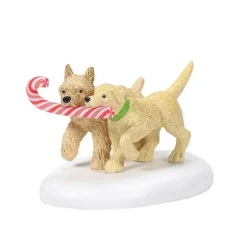 Peppermint Pups