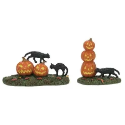 Scary Cats Pumpkins St/2