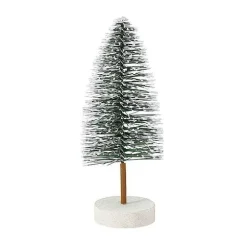Small Pine Tree