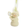 S'No Pretty Ornament