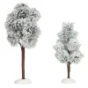 Snowy Jack Pine Trees